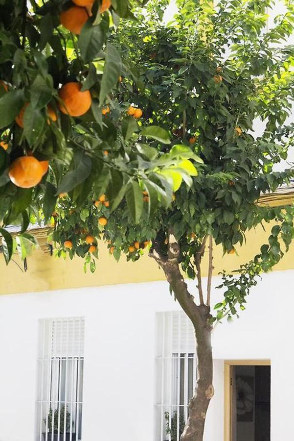 Apartamento Costasol Cordoba Luaran gambar